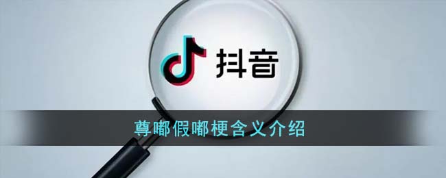 《抖音》尊嘟假嘟是个什么梗