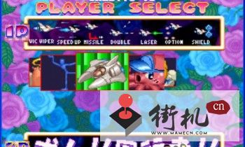 沙罗曼蛇fc版