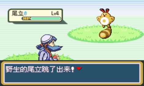 口袋妖怪闪耀金B5汉化版