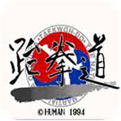 sfc跆拳道游戏单机版