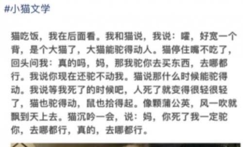 抖音小猫文学有哪些 小猫文学文案介绍