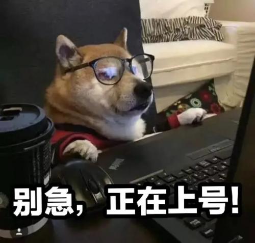 抖音你先别急我知道你很急表情包分享