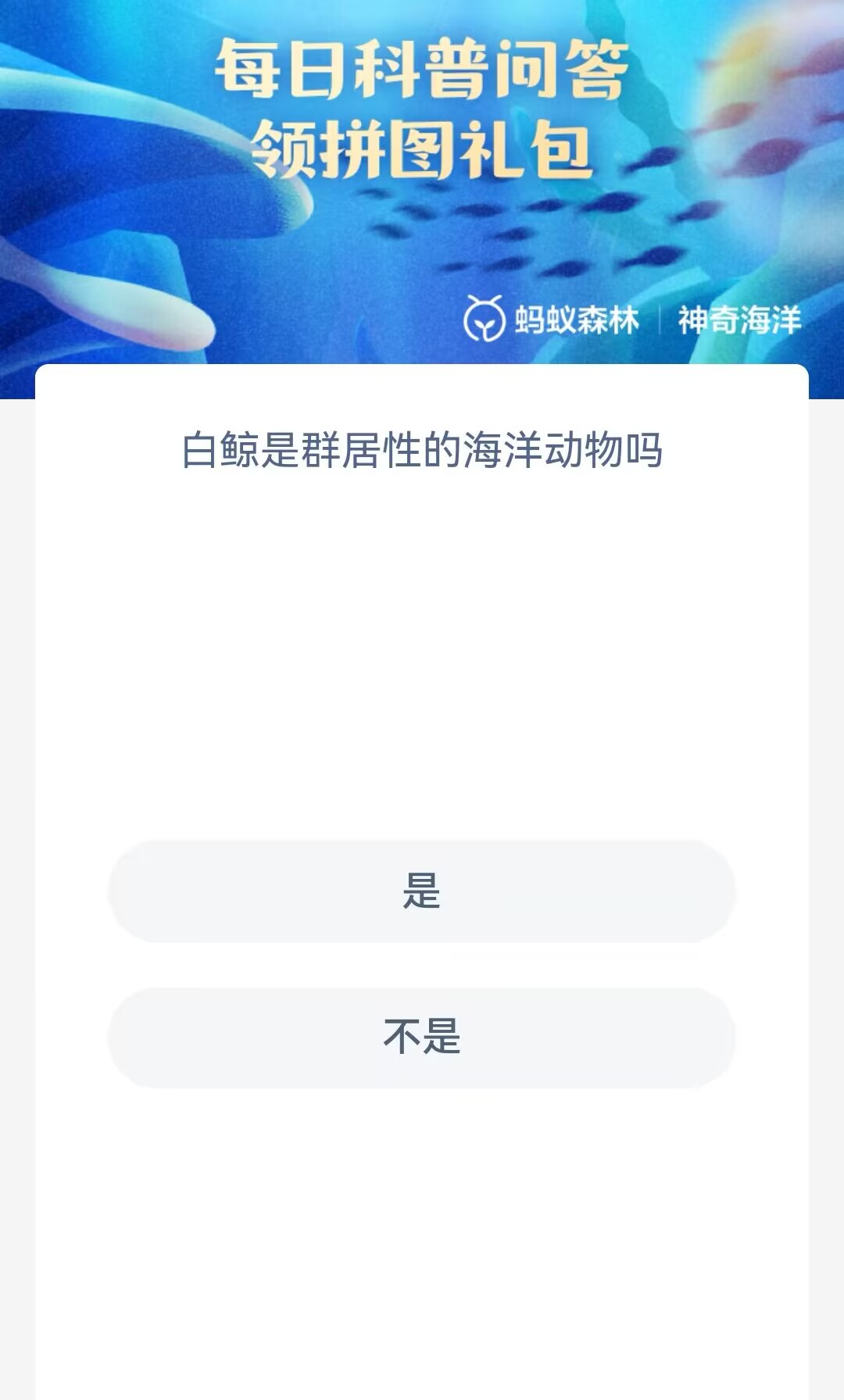 《支付宝》2023神奇海洋科普问答答案10.24