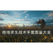 绝地求生战术手套有哪些-PUBG战术手套图鉴大全