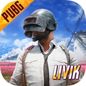 pubg国际服手游下载手机版