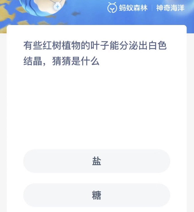 《支付宝》神奇海洋科普问答答案11.28