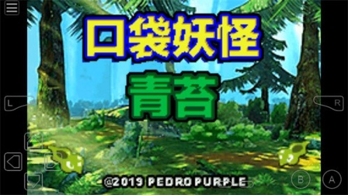 口袋妖怪青苔内置菜单版