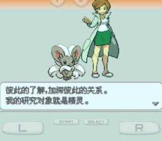 口袋妖怪抖M白2安卓版