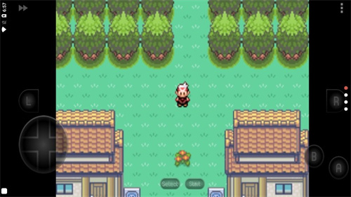 宝可梦802全随机