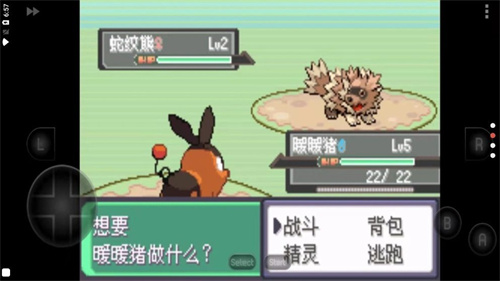 宝可梦802全随机