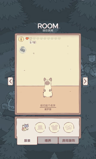 猫和汤