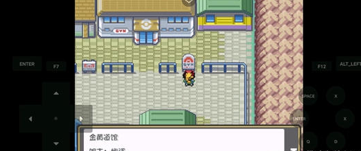 精灵宝可梦燃之智