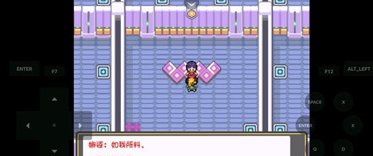 精灵宝可梦燃之智