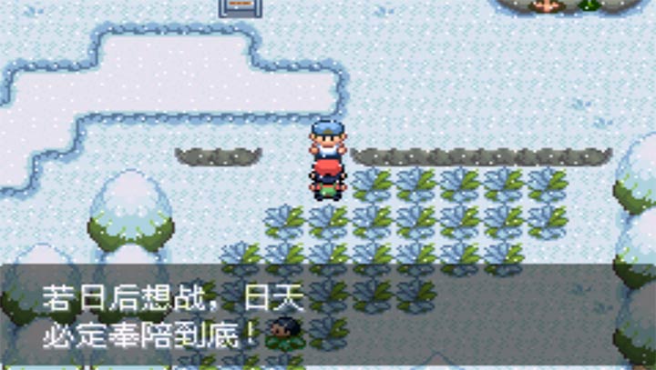 口袋妖怪最强进化V25街机版
