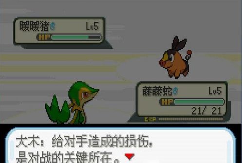 口袋妖怪圣光白中文版