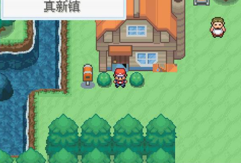 口袋妖怪圣光白中文版
