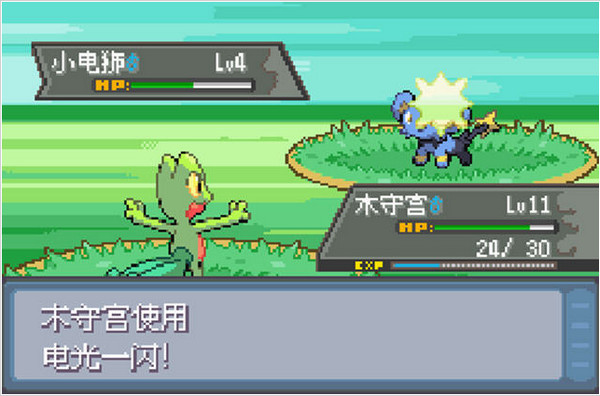 口袋妖怪极光石中文版
