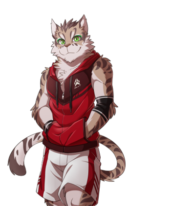 家有大猫游戏