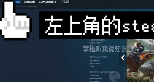 steam中文版