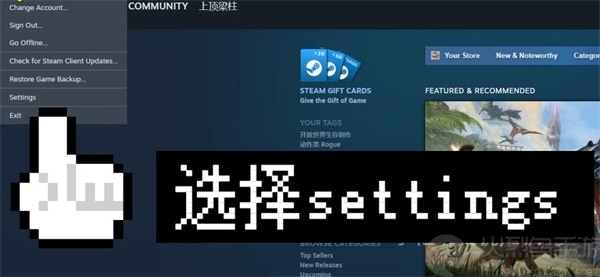 steam中文版