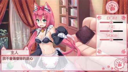 nekohiroimasita