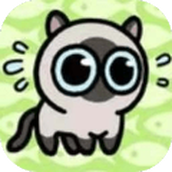 抖音冒险猫辅助器版