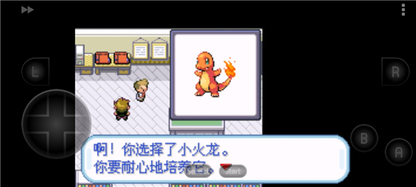 口袋妖怪火红叶绿金手指