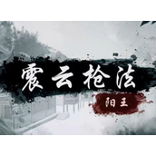 烟雨江湖震云枪法怎么获得