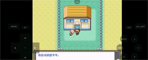 神奇宝贝究极绿宝石下载手机版