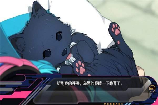 dmmd中文版