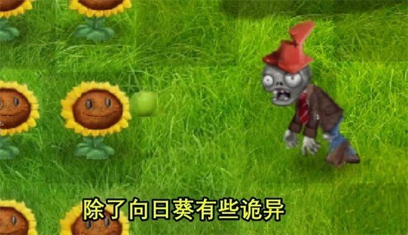 植物大战僵尸写实小猪版