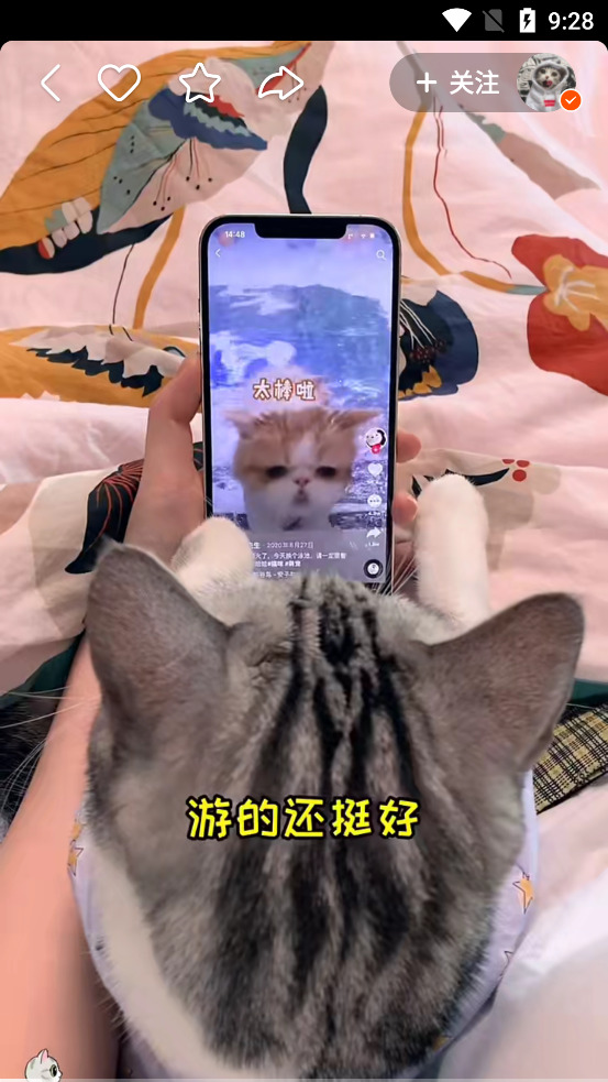 快手app官方版安装免费