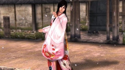 生或死天堂手游下载