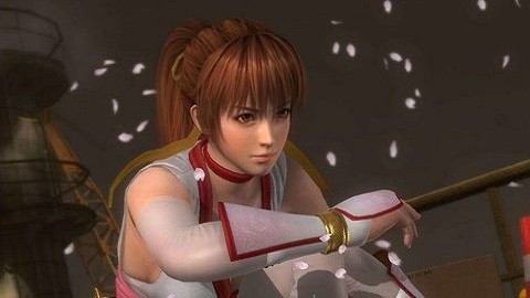 生或死天堂手游下载