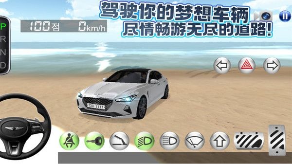 汽车操控模拟游戏安卓版