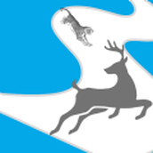 动物追逐奔跑安卓版