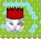 抓住你的逃走的猫最新版