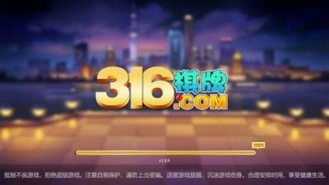 316qp版本8.0.4