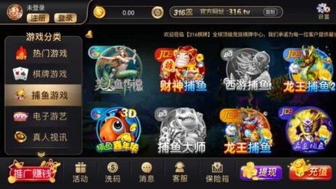 316qp版本8.0.4