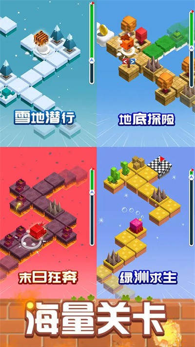 动物也疯狂游戏