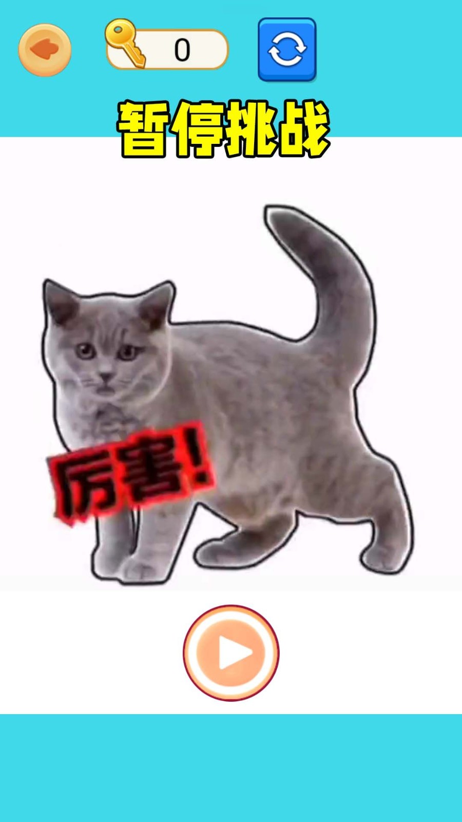 极限暂停挑战游戏官方