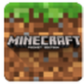 我的世界1.16.20.63测试版