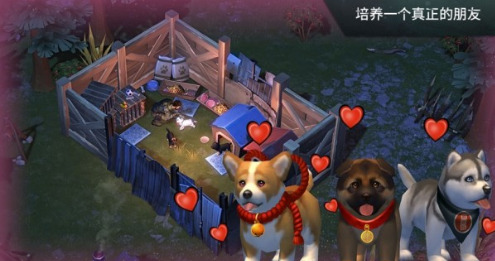 尸域黎明曙光手游最新版