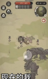 顶级富翁动物森林游戏