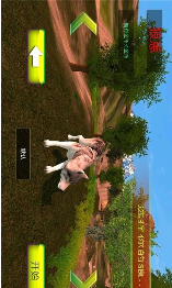 饿狼来了官方版