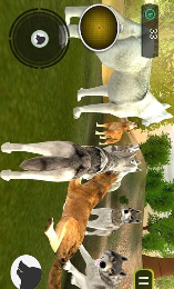 饿狼来了官方版