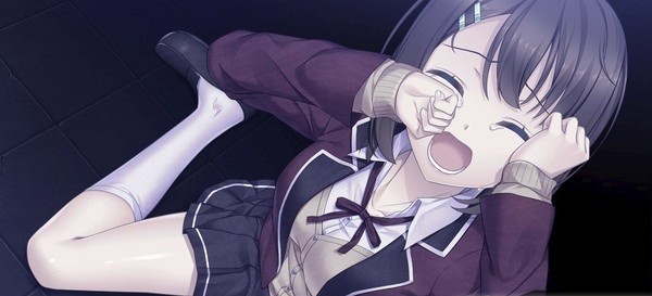 我和她的世界末日游戏汉化版