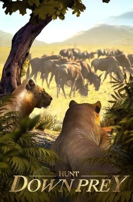 野兽领主新世界中文版游戏