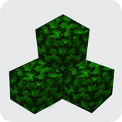 生存战争弥撒核心游戏最新版