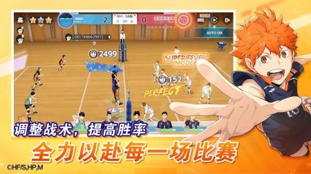 排球少年新的征程中文版下载